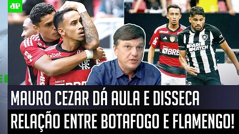 "EU TÔ PRA VER COISA IGUAL! Foi ASSUSTADOR como..." Mauro Cezar FALA TUDO sobre Flamengo e Botafogo