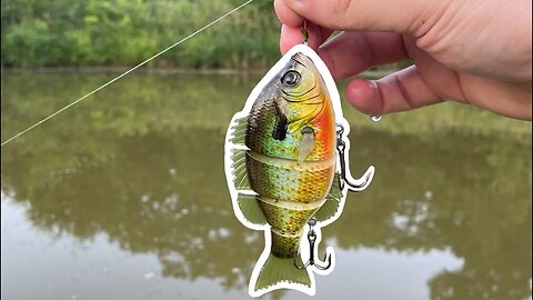 H2O Xpress: CHEAP Swimbait Test!