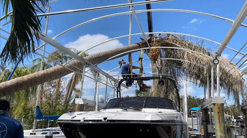 Hurricane Ian Recovery | Stokes Marine removes a palm tree off my boat ￼canopy