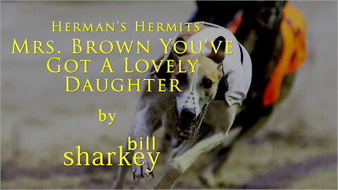Mrs. Brown You've Got A Lovely Daughter - Herman's Hermits (cover-live by Bill Sharkey)