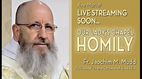 Tuesday in the Octave of Easter - April 2, 2024 - HOMILY