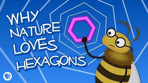 Why Nature Loves Hexagons (featuring Infinite Series!)