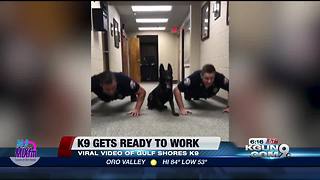 K9 does push-ups with Officers