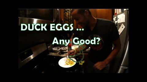 DUCK EGGS! - Blind Taste Test vs. Chicken Eggs