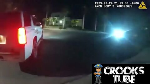 Crook hits cop with stolen car.
