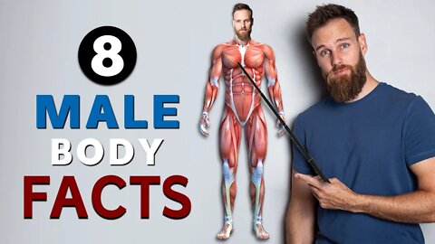 8 Things you NEED TO KNOW about YOUR BODY as a man