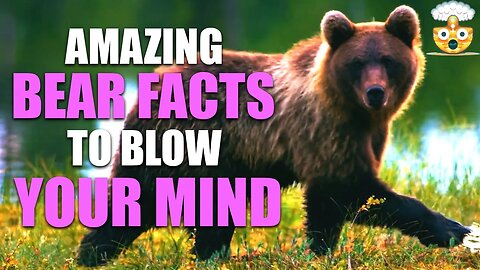 Unleashing the Wonders of Bears: Incredible Facts You Need to Know!