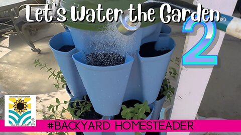 Ambient Let’s water the garden together | Episode 2