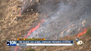 Fire near Dehesa scorches 200 acres