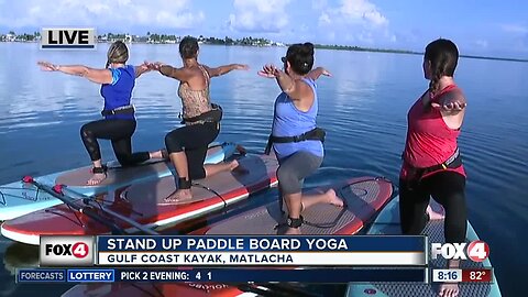 Stand up paddle board yoga in Matlacha Live Hit 08:00a