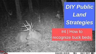 DIY Public Land deer hunting Strategies #4: How to recognize buck beds