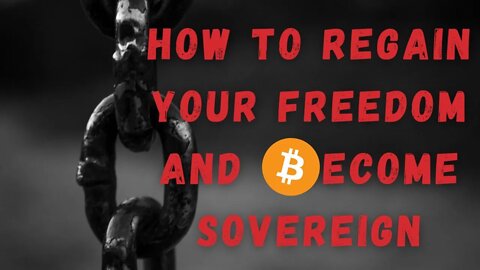 Is Bitcoin Enough For Freedom? One Word To Be Sovereign | Bitcoin Risks & Black Swan [DarthCoin PT3]