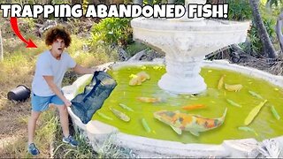 Trapping AQUARIUM FISH From ABANDONED Fountain POND!