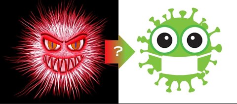 A tale of two viruses