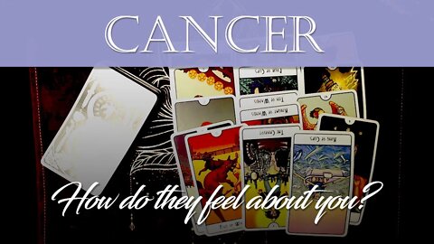 Cancer💖 They are leaving the 3rd party, wait until the NEW YEAR. Healing from a breakup, be friends
