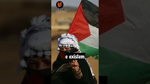 ✨PALESTINA🕊️Um Grito de Resistência💪🔥✊