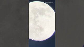 Moon passing by, viewed from a stationary telescope in Louisiana #shorts #space #science