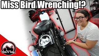 The NEW Sportster Build Series - Ft. Miss Bird!