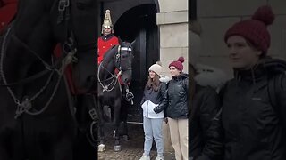 Horse licks her shoulder #horseguardsparade