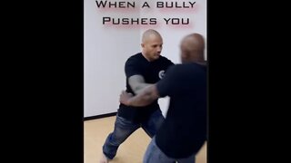 What To Do When Pushed By A Bully