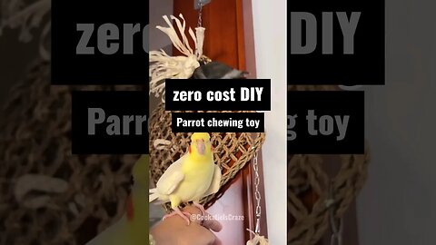 Zero-Cost DIY Parrot Chewing Toy: Make Your Feathered Friend Happy with Dried Corn Leaves!