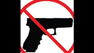 disarm the government safety act