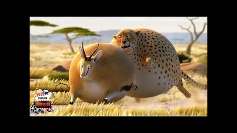😱Funny FAT Animals - Animated Short Films by KAILASH Wild || Animal Cartoon 2022 ||