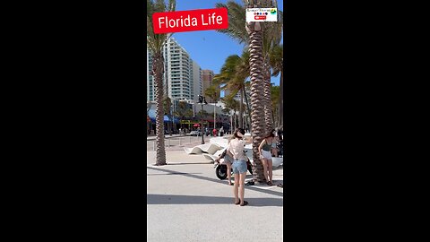 Florida Life 🌴 #floridalife #fortlauderdale #florida #beach #miami #robertTraveler #robert #travel