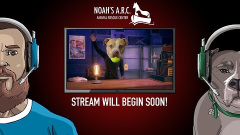 Back from Vacation! // Let Us Commence Wrong Dialogue Options w/NPCs // Animal Rescue Stream