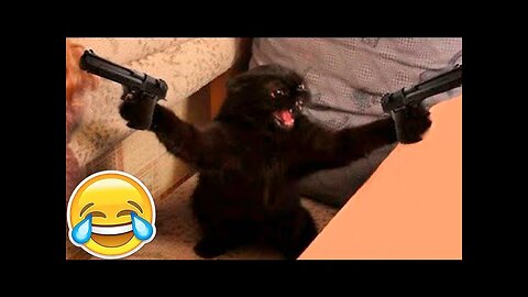 Funniest Cats And Dogs Videos😁Funny Animal Videos 2024 😸 Part 49