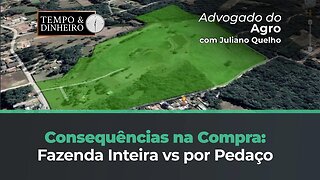 Consequência da diferença de tamanho de área na compra de fazendo inteira ou por pedaço