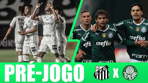 PRÉ-JOGO AO VIVO SANTOS X PALMEIRAS -PAULO MASSINI