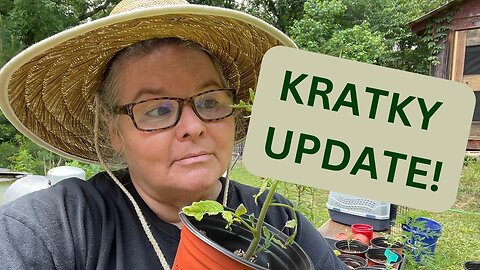 Kratky Update and Growing Tomatoes in My Basement using Hydroponics Systems!