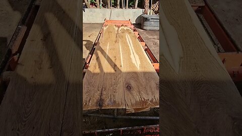 Stunning Oregon White Oak on the Sawmill #short #shorts #whiteoak #woodmizer #wickedwoodsnwllc #wood