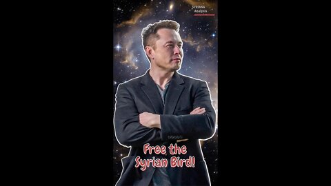 Free the Syrian Bird, Elon!