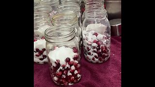 Making homemade cranberry juice