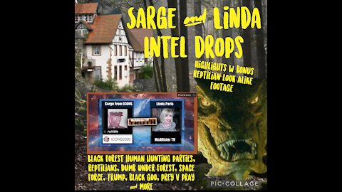 SARGE & LINDA INTEL DROPS
