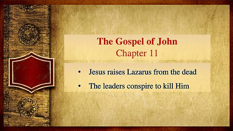 The Gospel of John: Chapter 11