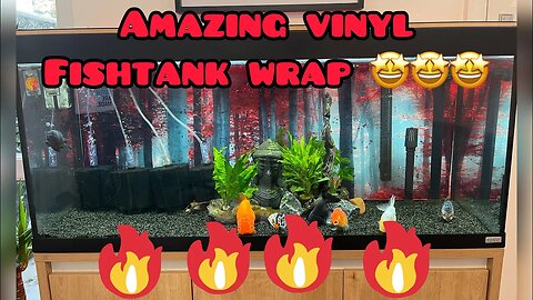 Amazing Fish Tank Vinyl Wrap on the Ranchu Aquarium #fancygoldfish #ranchugoldfish #fishtankideas