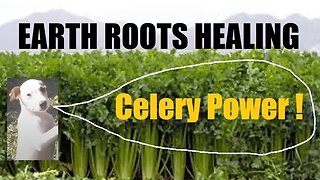 Celery - 10 Impressive Health Benefits !