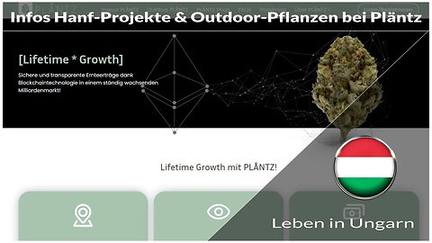 Infos Hanf-Projekte und Outdoor-Pflanzen NFT bei Pläntz für 100 Euro