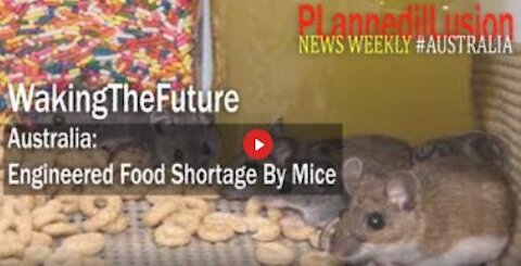 Mirrored From PLannedilLusion: NEWS WEEKLY WAKINGTHEFUTURE : ENGINEERED FOOD SHORTAGE BY MICE