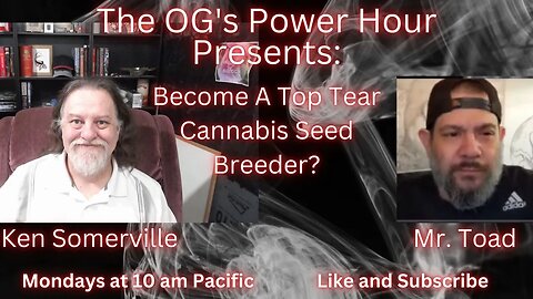 Become A Top Tear Cannabis Seed Breeder