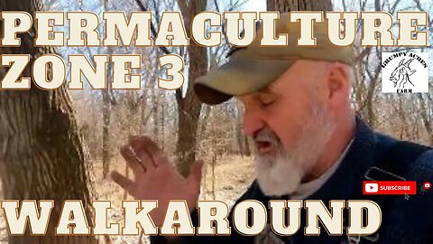 Permaculture Zone 3 Walkaround