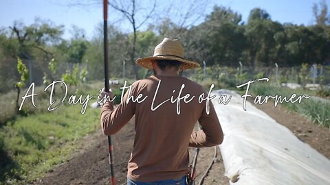 A Day in the Life of a Farmer