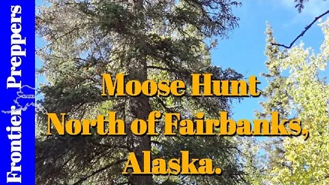 Moose Hunt - North of Fairbanks, Alaska.