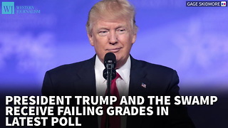 President Trump And The Swamp Receive Failing Grades In Latest Poll