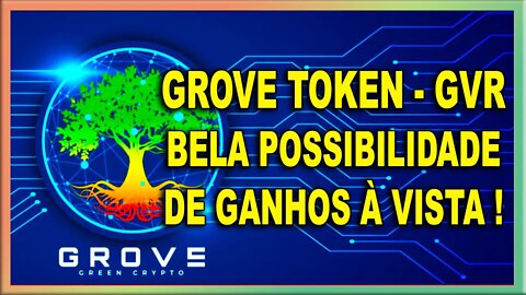 GROVE TOKEN GVR BELA POSSIBILIDADE DE GANHOS À VISTA !