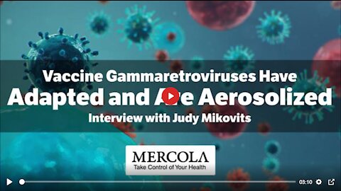 2020 MAY 24 Vaccine Gamma retroviruses Have Adapted and Are Aerosolized