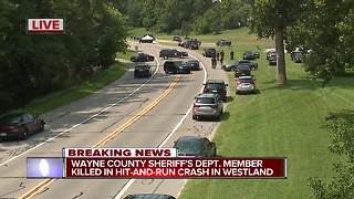 Wayne County Sheriff's deputy hit and killed while jogging